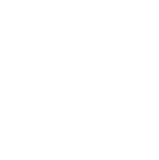 Perfection logo